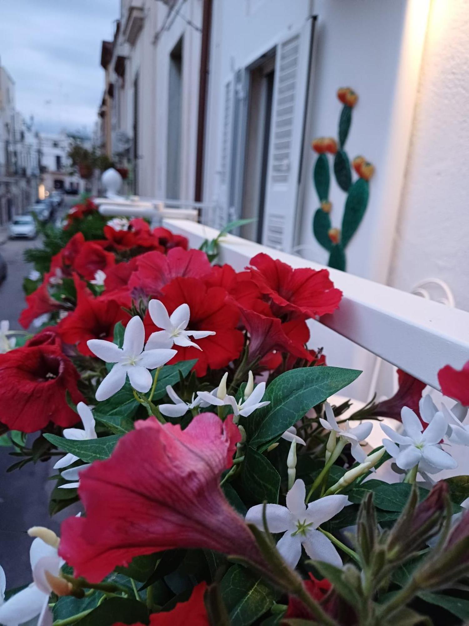 Apartmán Casa Lina Mola di Bari Exteriér fotografie